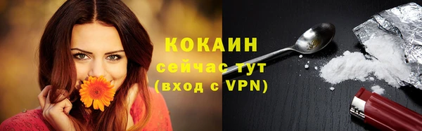 винт Вяземский
