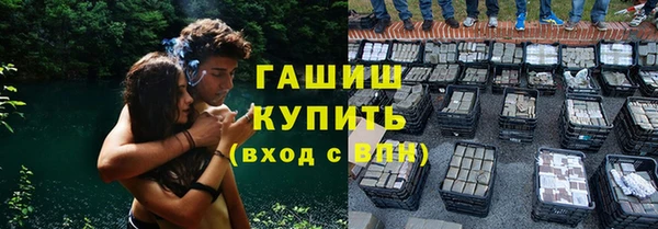 винт Вяземский